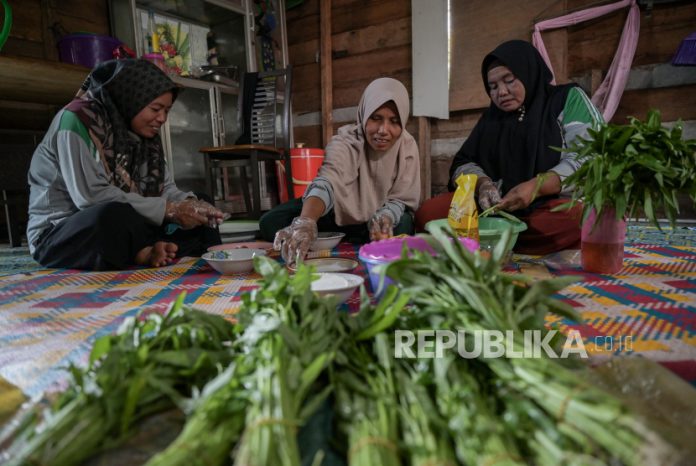 Kelompok Tani Perempuan di Bengkalis Olah Sayur Kangkung Jadi Camilan