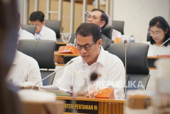 Kementan Wajibkan Registrasi Beras Demi Lindungi Konsumen dan Pasar